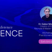 Confluence 2024